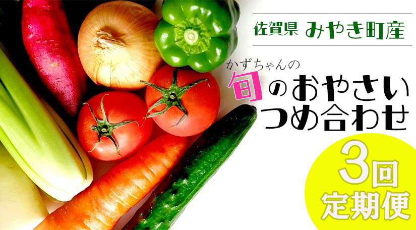 【3回定期便】かずちゃんの朝採り新鮮野菜セット毎月お届け みやき町産（CC003)