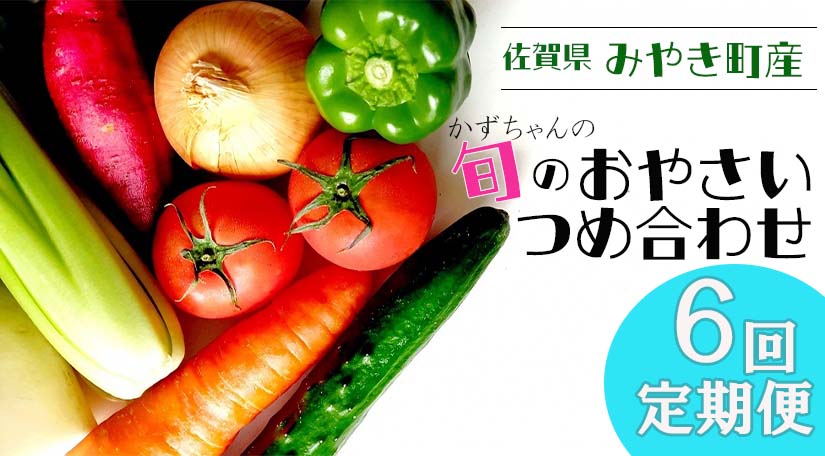 【6回定期便】かずちゃんの朝採り新鮮野菜セット毎月お届け みやき町産（CC004)