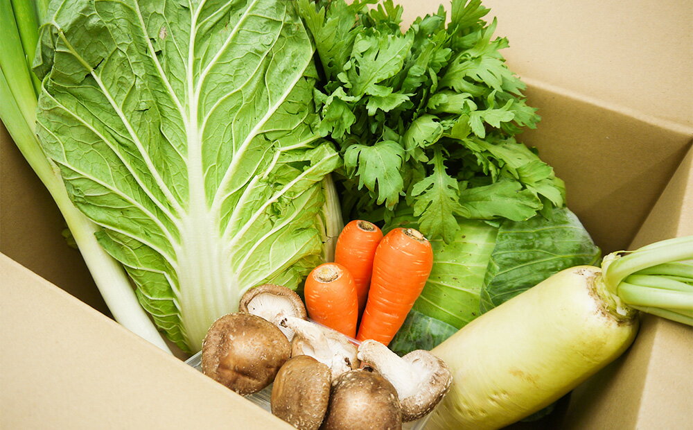 【ふるさと納税】【鍋約2回分】かずちゃんの厳選おススメ鍋野菜セット 野菜詰め合わせ 旬 新鮮 国産 水炊き 採れたて（CC005) - 画像2