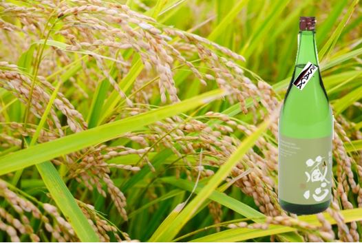 矢野肥前蔵心特別純米酒 1.8L（DV201）