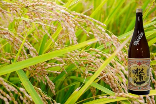 松浦一純米酒 1.8L（DV206）