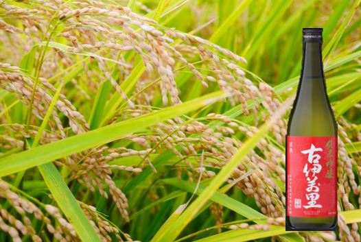 古伊万里純米吟醸 1.8L（DV208）