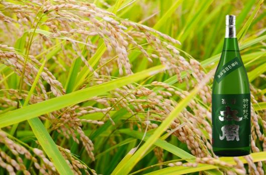 聚楽太閤特別純米酒全量山田錦 1.8L（DV049）