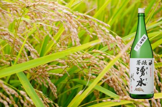 基峰鶴背振湧水 1.8L（DV210）