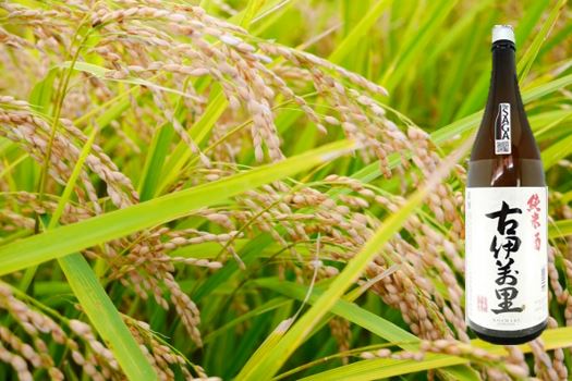 古伊万里純米酒 1.8L（DV211）