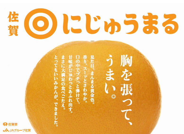 【ふるさと納税】にじゅうまる 約5kgバラ入りお徳用（DV220） サムネイル2