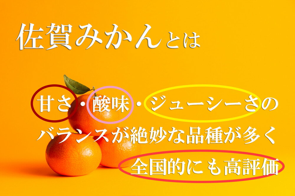 【ふるさと納税】【佐賀県産】みかん定期便【年6回】（DV127） サムネイル2