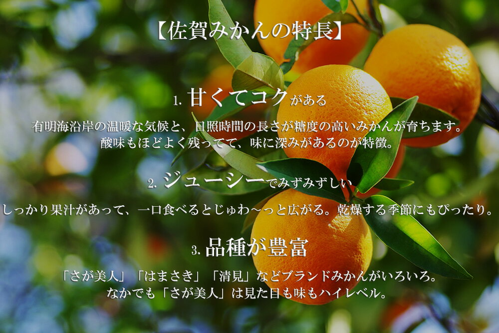 【ふるさと納税】【佐賀県産】みかん定期便【年6回】（DV127） サムネイル3