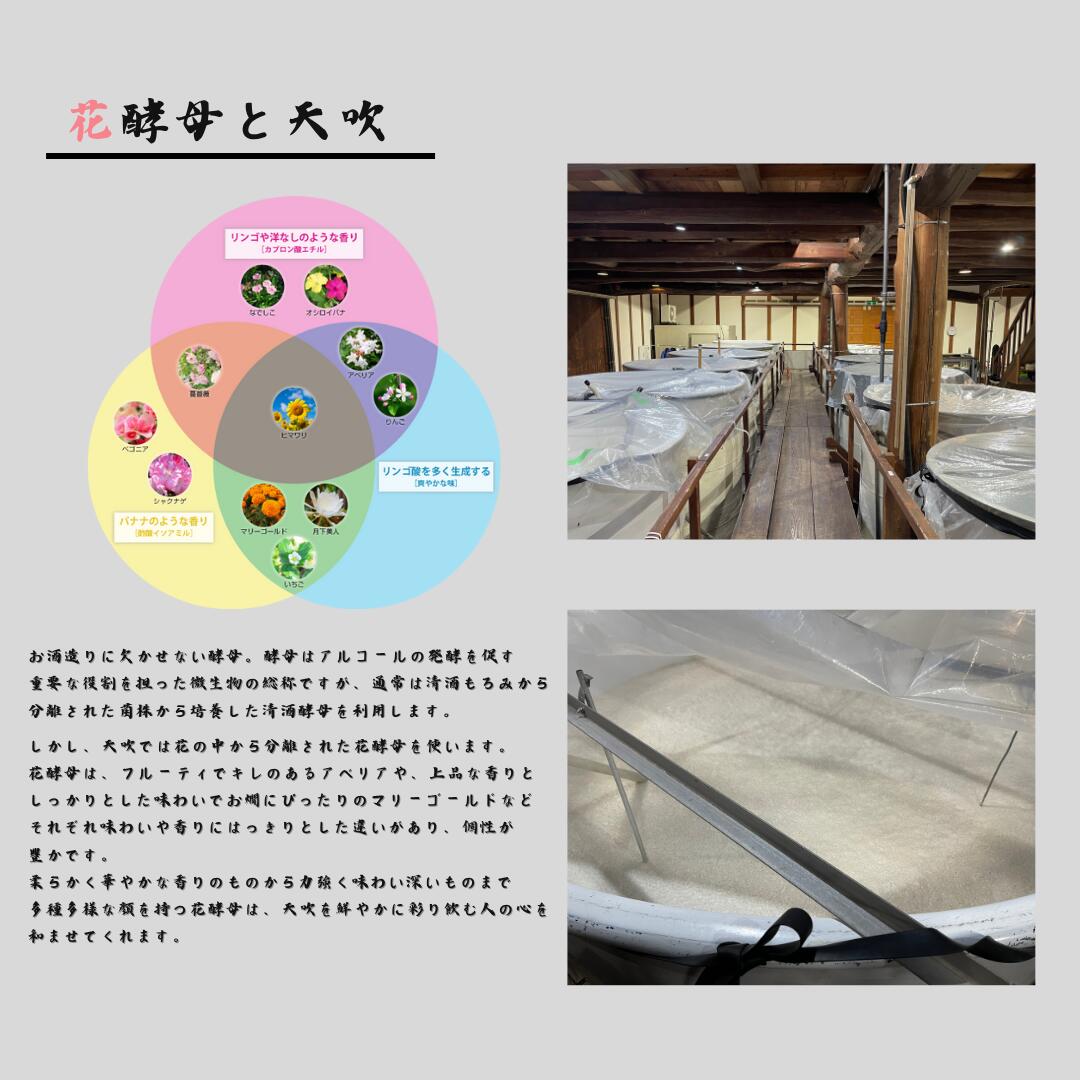 【ふるさと納税】お酒「天吹」春・夏・秋・冬（年4回）季節の旨き酒（CN033） サムネイル3