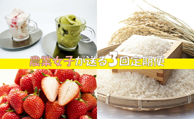 中山さんがお届けするこだわり農産物&加工品　年3回セット（AE029）