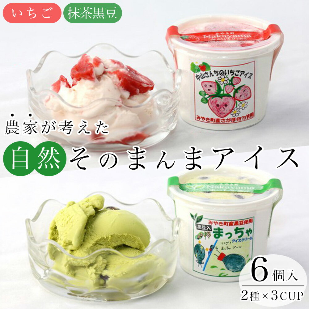 農家が考えたなめらかアイス6個（いちご＆黒豆抹茶）（AE032）