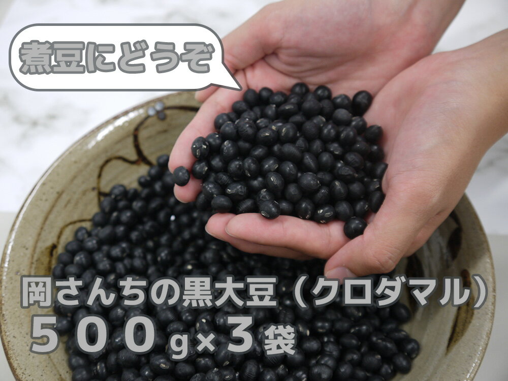 佐賀県みやき町農家岡さんちの黒大豆クロダマル500g×3袋(BE027)