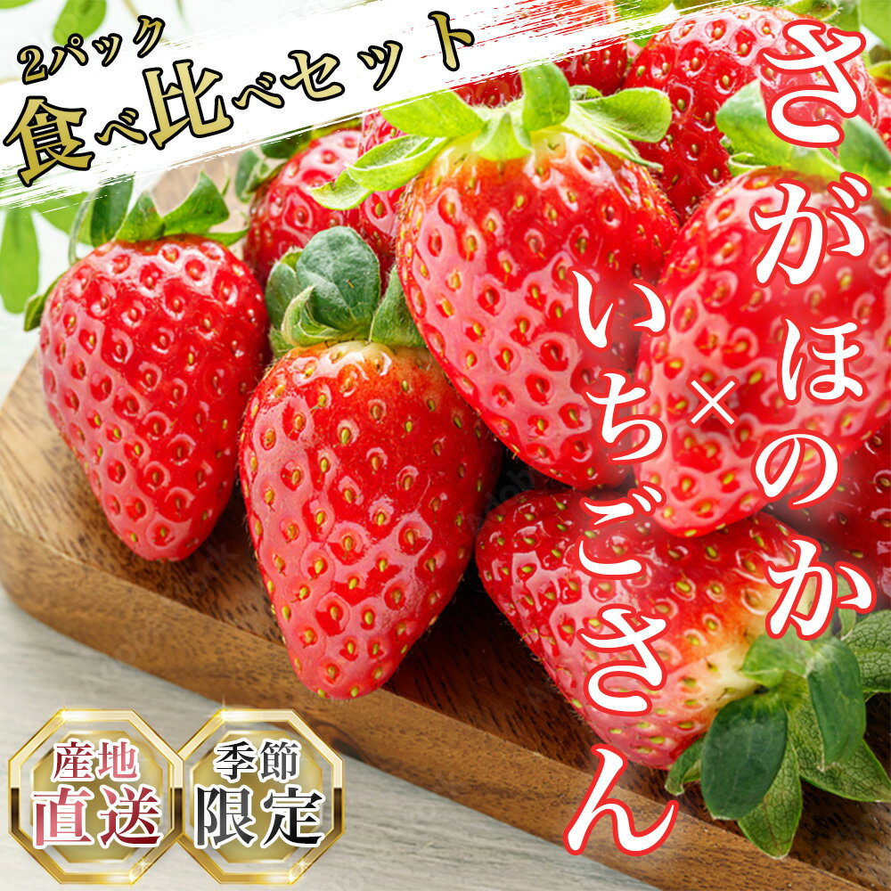 いちご食べ比べ　いちごさん　さがほのか（DV104）