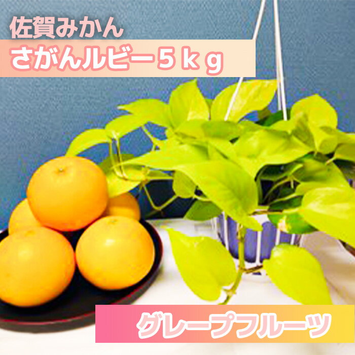 さがんルビー　5kg（グレープフルーツ）（DV139）