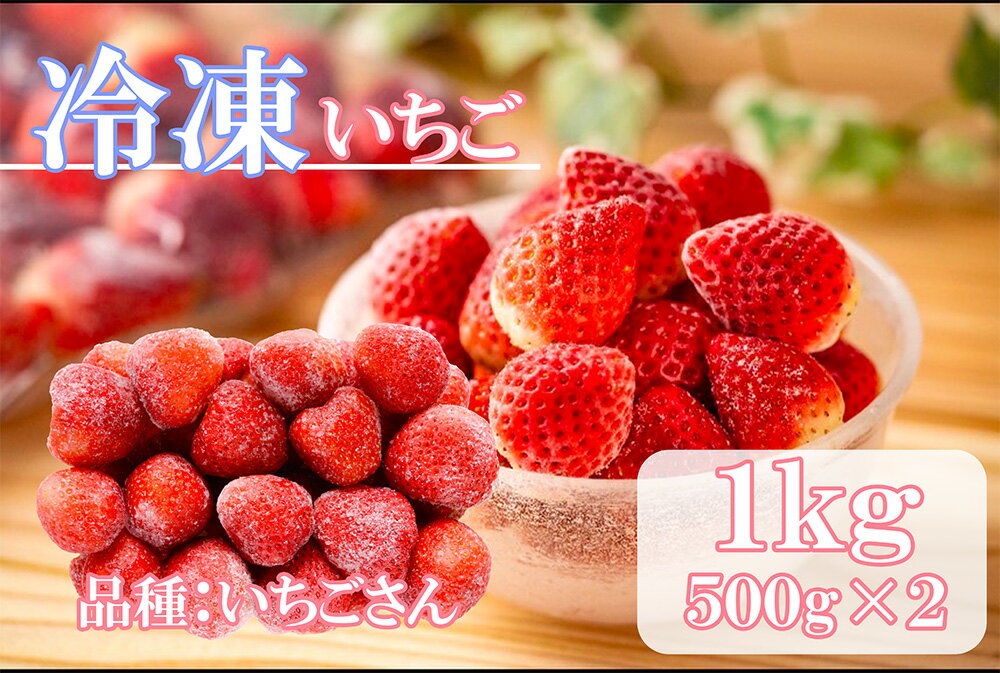 冷凍いちご（いちごさん）1kg(500gX2)（DV227）