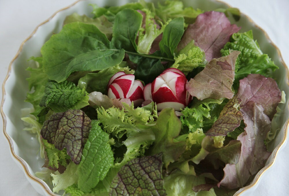 【ふるさと納税】オーガニック葉物野菜セット【植物性で育てた完全無農薬の葉野菜ブランド有機JAS】「6回定期便」（CQ036） - 画像2