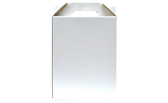 【ふるさと納税】宗政酒造 有田のクラフトビール！NOMAMBA BEER 330ml×6本セット S12-19 サムネイル2