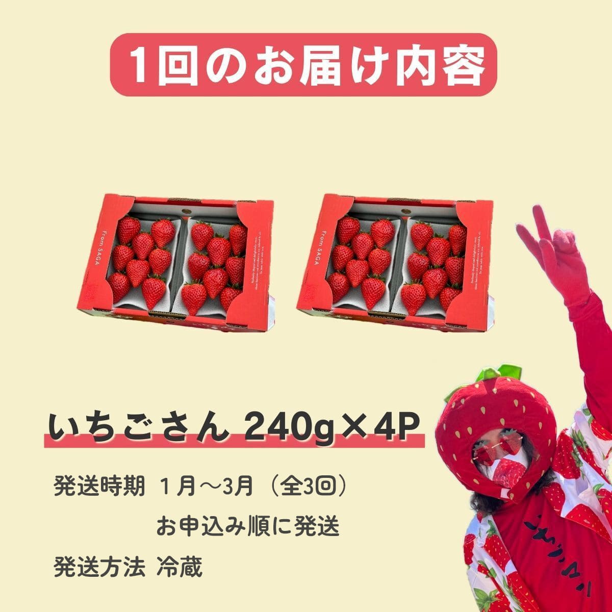 【ふるさと納税】＜予約受付＞【3回定期便】有田いちご 朝摘み完熟いちご4パックを毎月お届け！ (1月～3月の全3回) 240g×4パック【みゆきファーム】有機肥料にこだわった美味しいいちごです いちごさん F40-12 サムネイル3