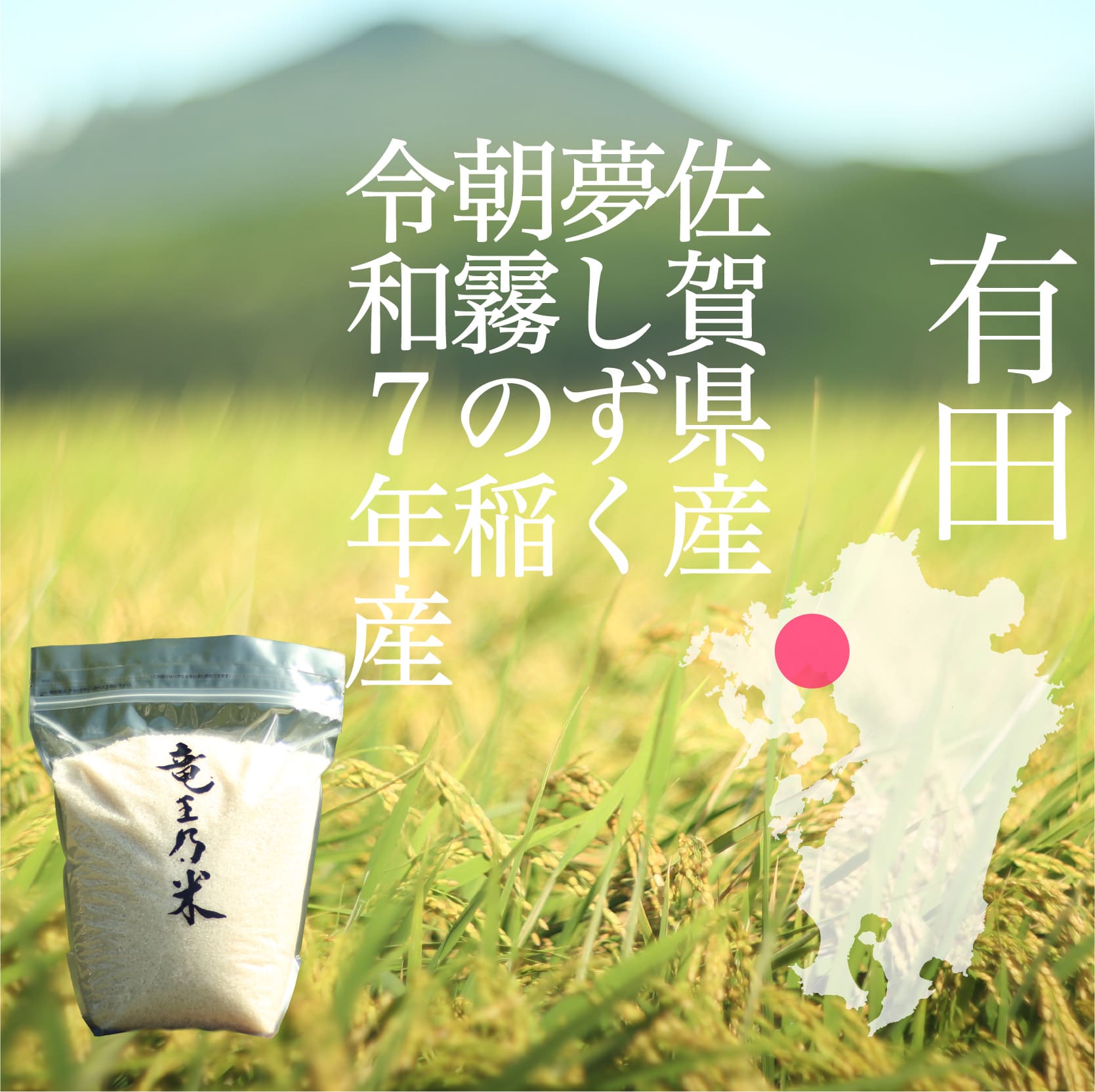 【ふるさと納税】夢しずく 竜王の米 5kg ( 5kg×1袋 )【SUN】生産農家直送 最高特Aランク 米 白米 ごはん ご飯 K24-2 - 画像3