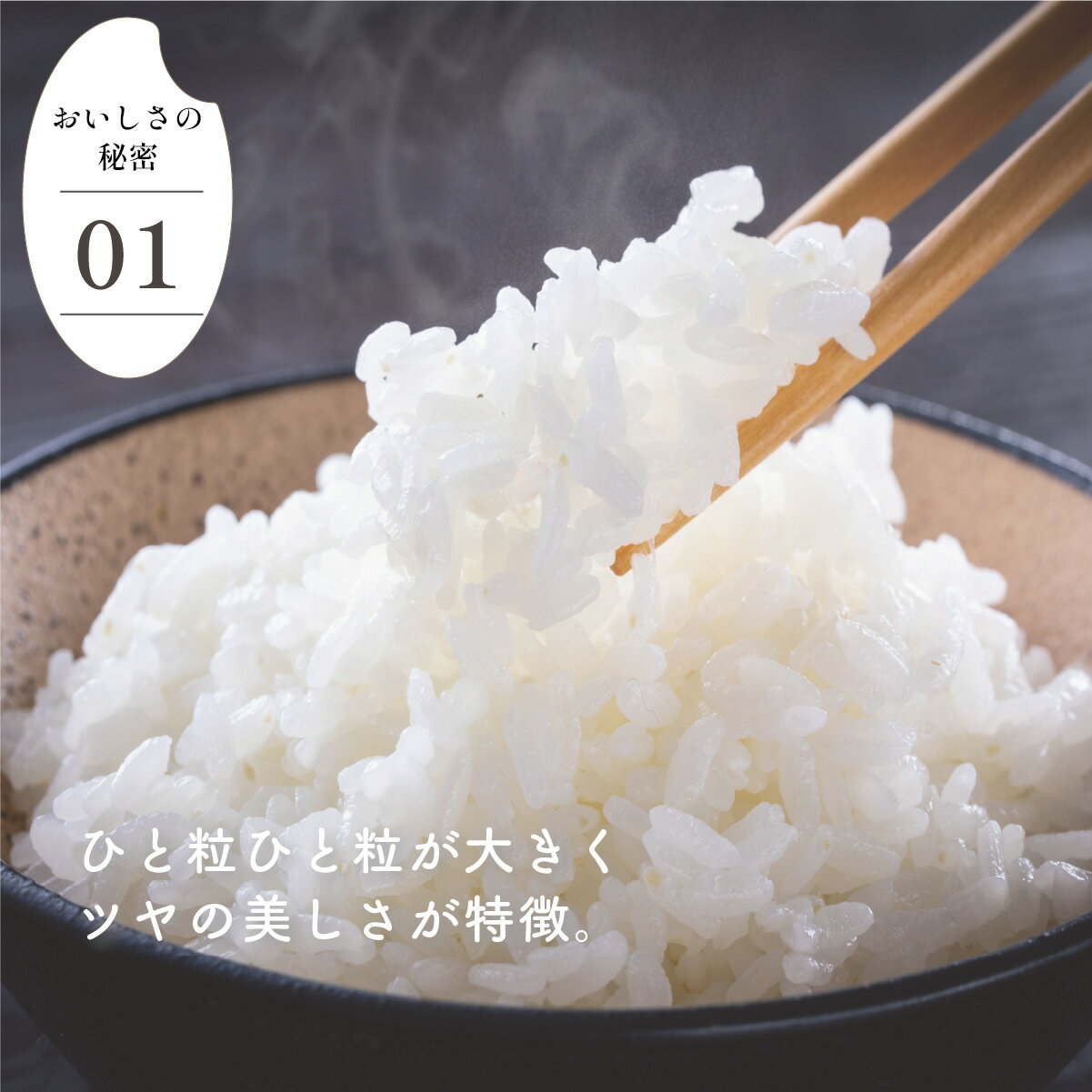 【ふるさと納税】令和7年産 さがびより ＜選べる5kg・10kg・定期便・配送月・精米・玄米＞／米 お米 精米 ご飯 佐賀県産 特A評価 国産米 銘柄米 ブランド米 5キロ 10キロ 人気 おすすめ ふるさと納税米 - 画像2