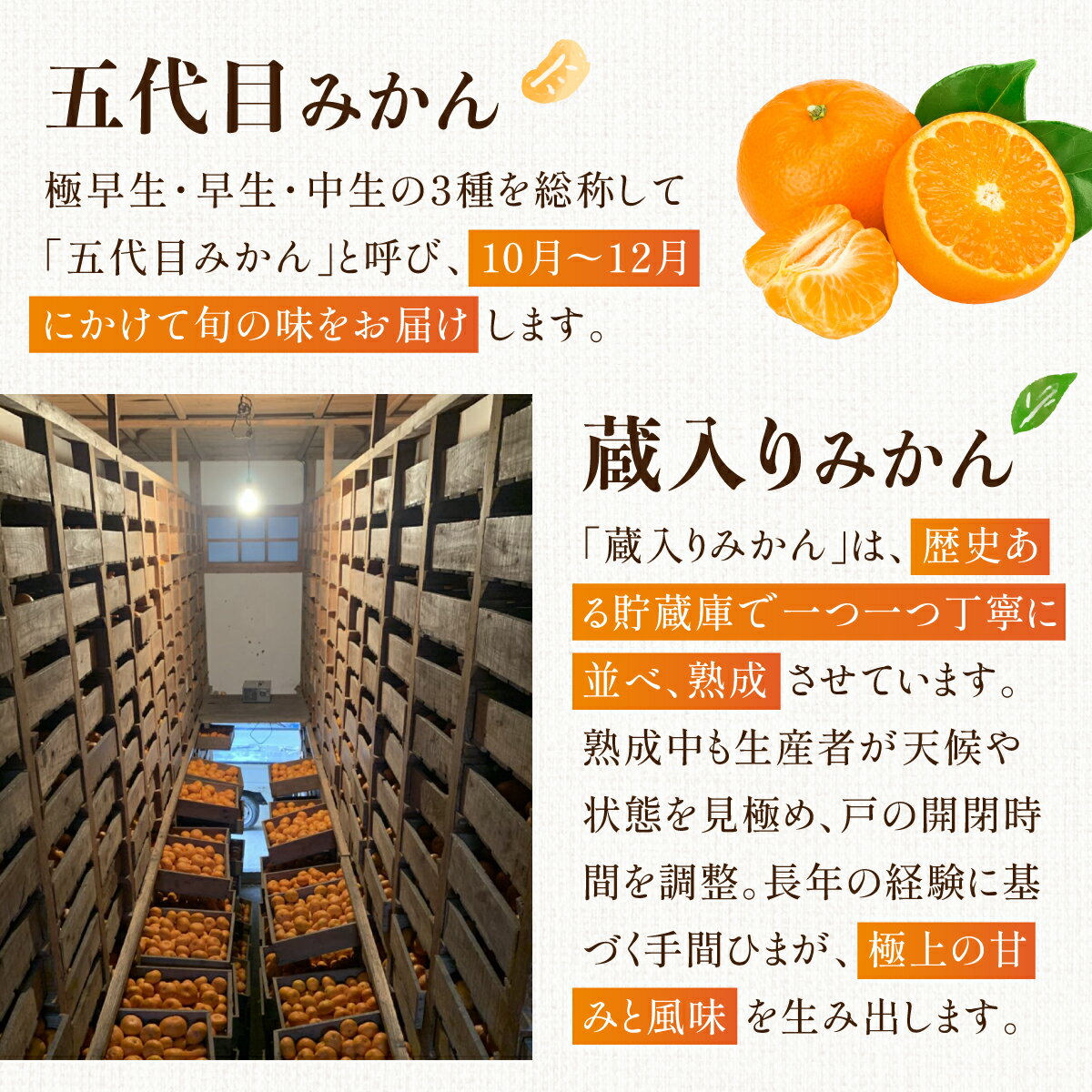 【ふるさと納税】＜選べる容量＞五代目みかん／蔵入りみかん／五代目＆蔵入り（4.5kg or 9.5kg／計9kg 4.5kg×2回 or 9.5kg×2回）ふるさと納税 佐賀 みかん オレンジ フルーツ濃厚 甘い 酸味 大町 贈答 ギフト 贈り物 42ik-001〜42ik-006 サムネイル3