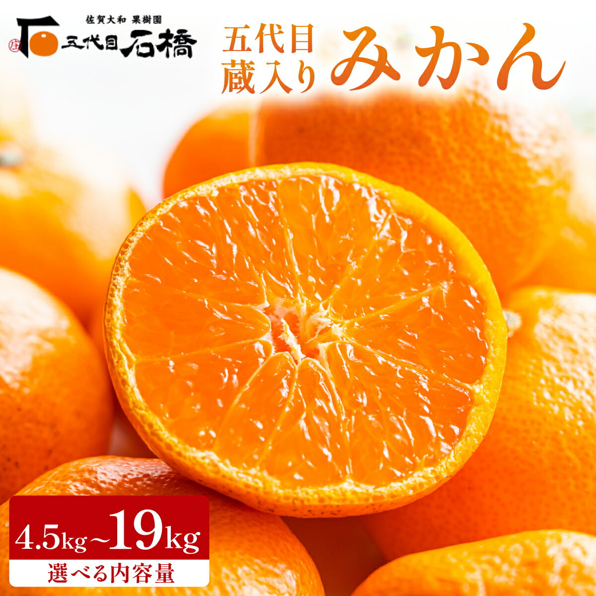 ＜選べる容量＞五代目みかん／蔵入りみかん／五代目＆蔵入り（4.5kg or 9.5kg／計9kg 4.5kg×2回 or 9.5kg×2回）ふるさと納税 佐賀 みかん オレンジ フルーツ濃厚 甘い 酸味 大町 贈答 ギフト 贈り物 42ik-001〜42ik-006