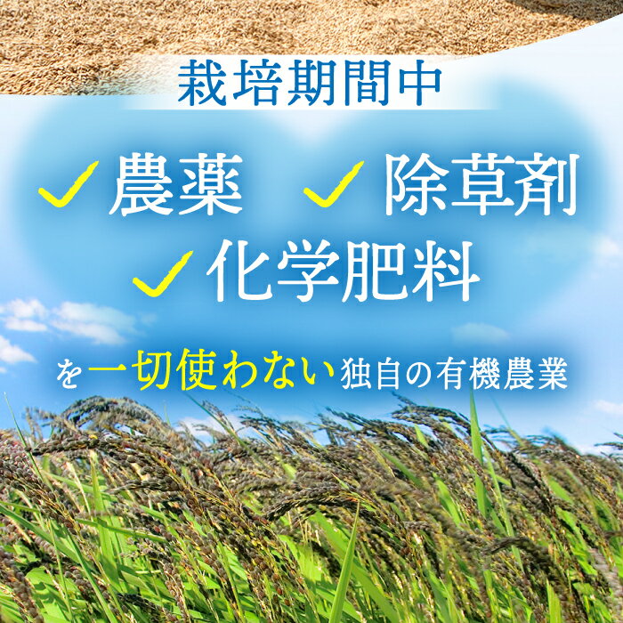 【ふるさと納税】【選べる容量・回数】穀物三昧（ 400g / 700g / 1kg / 1.5kg ）【葦農】 [HAJ009]　/ 食品 米・雑穀 ブレンド 雑穀 雑穀米 十三穀米 黒米 米 麦 パック 小分け 国産 佐賀 佐賀県 送料無料 - 画像3