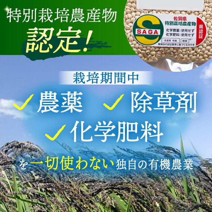 【ふるさと納税】＜栽培期間中農薬不使用＞【選べる品種】江北町産 麦 ( 丸麦 / 胚芽押麦 / 押麦 ) 1等麦【葦農】 [HAJ012] / 特別栽培農産物 特別栽培 特栽 麦 むぎ ムギ 佐賀 佐賀県 九州 送料無料 - 画像3