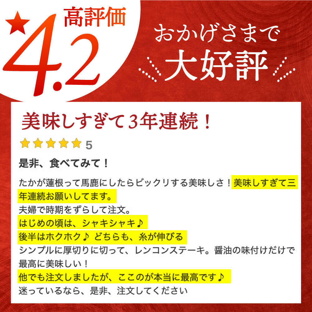 【ふるさと納税】【先行予約】地元江北町産 泥付き蓮根 ( 3kg / 6kg ) 【百武青果】 [HAE001] / 蓮根 れんこん レンコン 便利 白石蓮根 佐賀 佐賀県 九州 送料無料 野菜 8000 8000円 サムネイル2