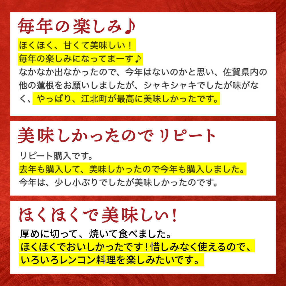 【ふるさと納税】【先行予約】地元江北町産 泥付き蓮根 ( 3kg / 6kg ) 【百武青果】 [HAE001] / 蓮根 れんこん レンコン 便利 白石蓮根 佐賀 佐賀県 九州 送料無料 野菜 8000 8000円 サムネイル3