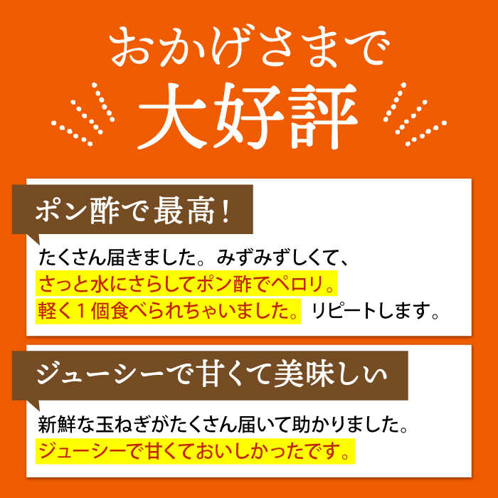 【ふるさと納税】【先行予約】【選べる容量】江北町産 たまねぎ 約6kg or 約10kg 【百武青果】 [HAE008] / 先行予約 野菜 やさい ヤサイ 新玉ねぎ 晩生 玉葱 玉ねぎ 玉ネギ タマネギ 佐賀県 佐賀 九州 送料無料 - 画像2
