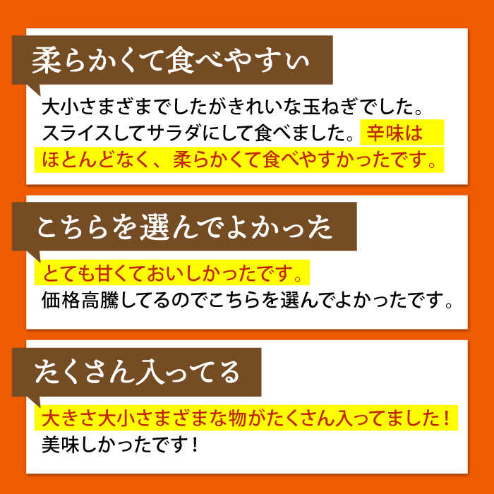 【ふるさと納税】【先行予約】【選べる容量】江北町産 たまねぎ 約6kg or 約10kg 【百武青果】 [HAE008] / 先行予約 野菜 やさい ヤサイ 新玉ねぎ 晩生 玉葱 玉ねぎ 玉ネギ タマネギ 佐賀県 佐賀 九州 送料無料 - 画像3