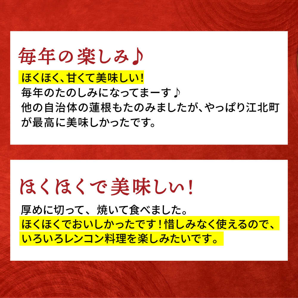 【ふるさと納税】【先行予約】地元江北町産 佐賀 れんこんパック ( 1kg / 2.5kg )【百武青果】 [HAE013] サムネイル3