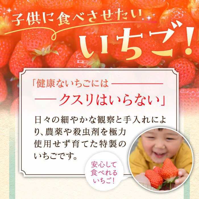 【ふるさと納税】【11月下旬〜12月発送】王様のいちご さがほのか 800g ( 400g 2箱 ) いちご 苺 イチゴ | 佐賀県 江北町 | 【むらおか農園】 [HAF002] サムネイル2