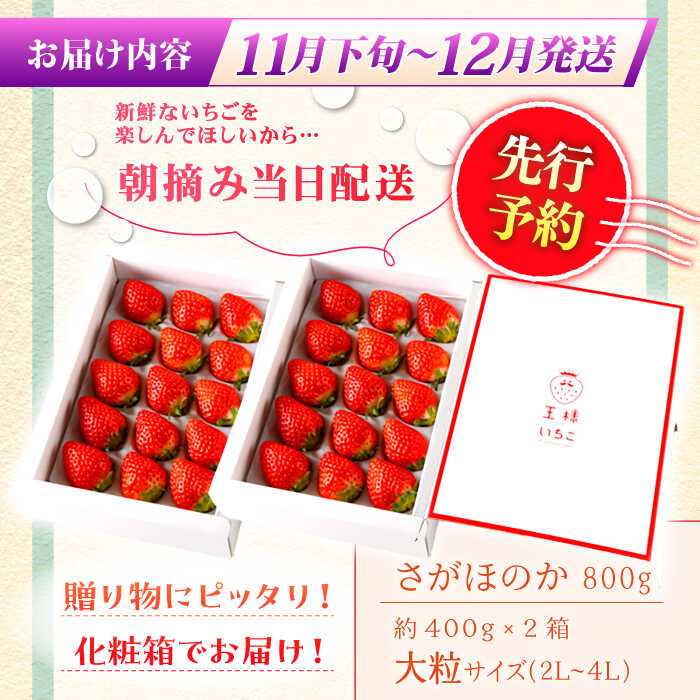 【ふるさと納税】【11月下旬〜12月発送】王様のいちご さがほのか 800g ( 400g 2箱 ) いちご 苺 イチゴ | 佐賀県 江北町 | 【むらおか農園】 [HAF002] サムネイル3