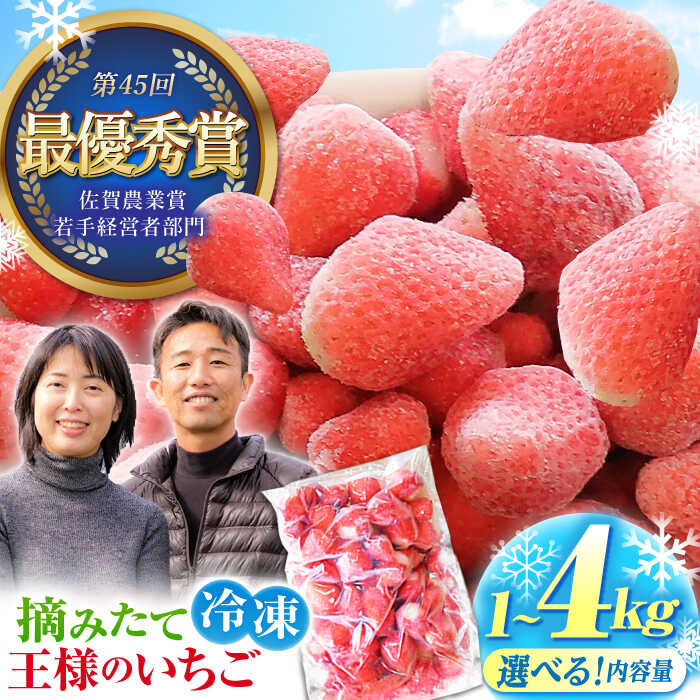 【選べる容量】 冷凍いちご （ 王様のいちご ）摘みたてこおりいちご 1kg / 2kg / 4kg 【むらおか農園】[HAF007] 冷凍いちご こおりいちご いちご 苺 イチゴ 食品 フルーツ 果物 くだもの いちごさん さがほのか 冷凍 夏 アイス 送料無料 国産 佐賀県 江北町