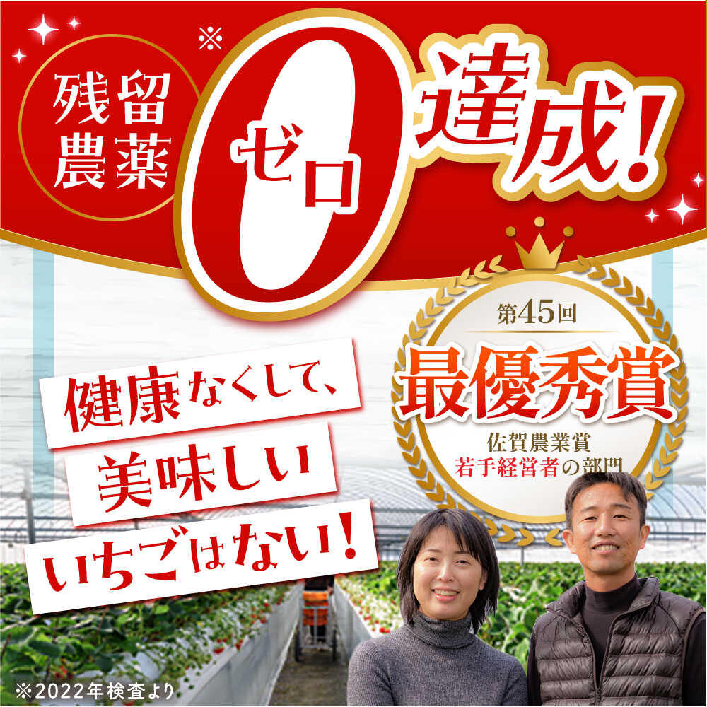 【ふるさと納税】【1〜2月発送】王様のいちご いちごさん ( 800g ・ 400g ) いちご イチゴ 苺 贈答 ギフト プレゼント 先行予約 | 佐賀県 江北町 |【むらおか農園】 [HAF009] サムネイル2