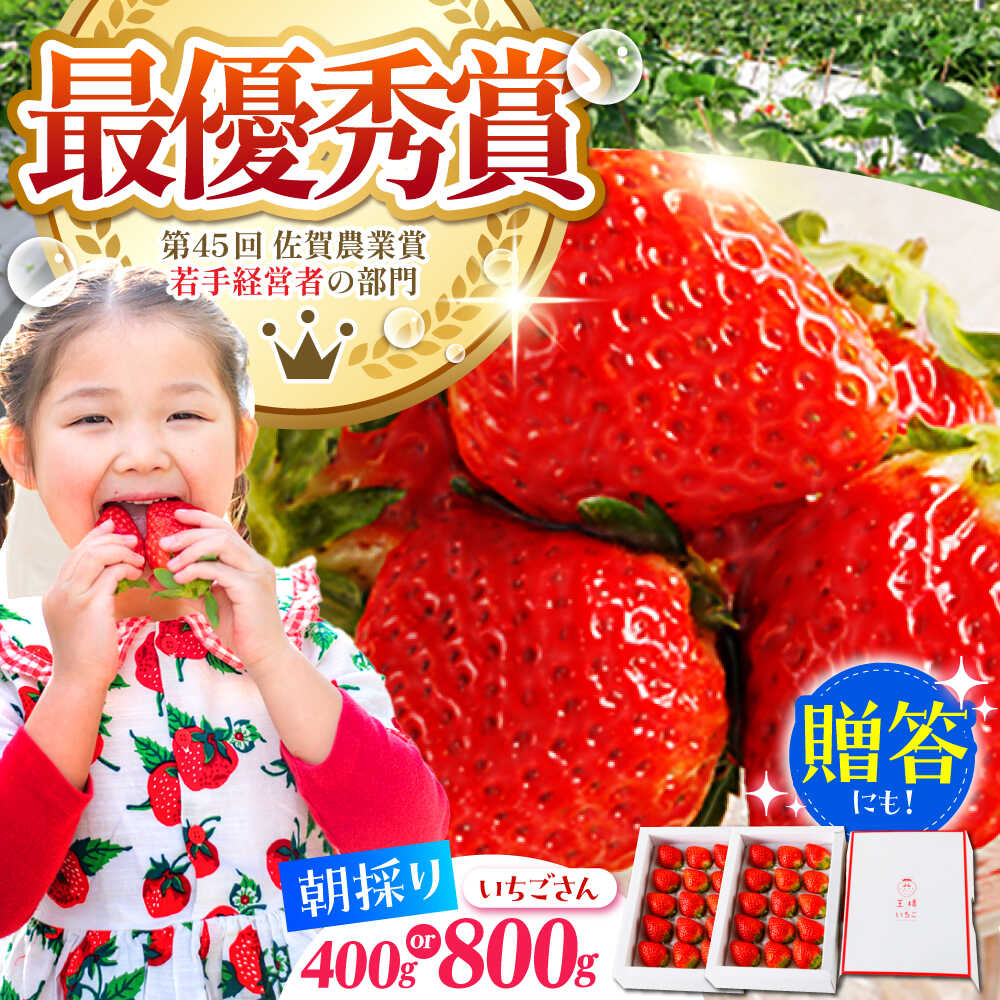 【1〜2月発送】王様のいちご いちごさん ( 800g ・ 400g ) いちご イチゴ 苺 贈答 ギフト プレゼント 先行予約 | 佐賀県 江北町 |【むらおか農園】 [HAF009]