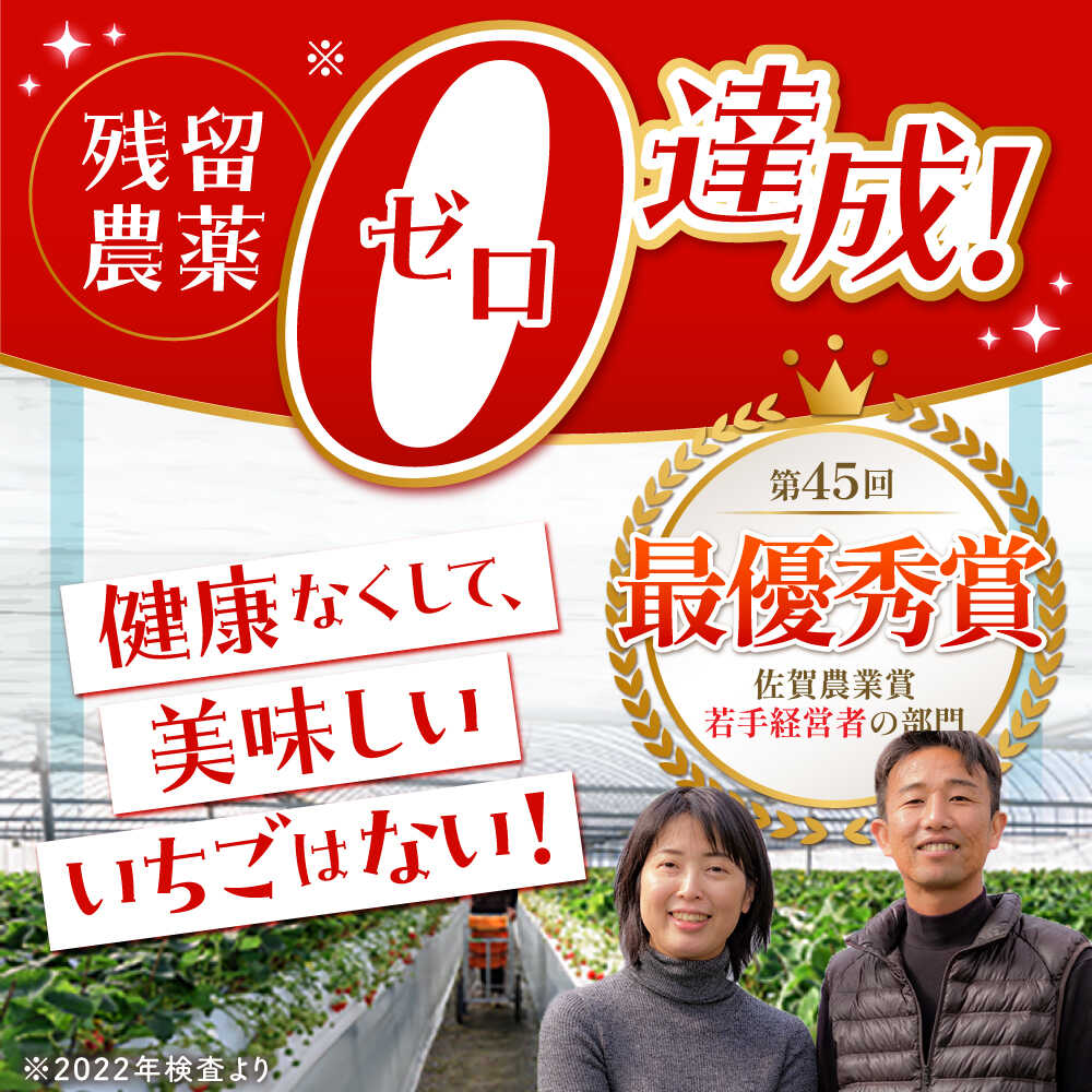 【ふるさと納税】【1〜2月発送】王様のいちご さがほのか ( 400g / 800g ) いちご イチゴ 苺 贈答 ギフト プレゼント 先行予約 | 佐賀県 江北町 |【むらおか農園】 [HAF010] サムネイル2