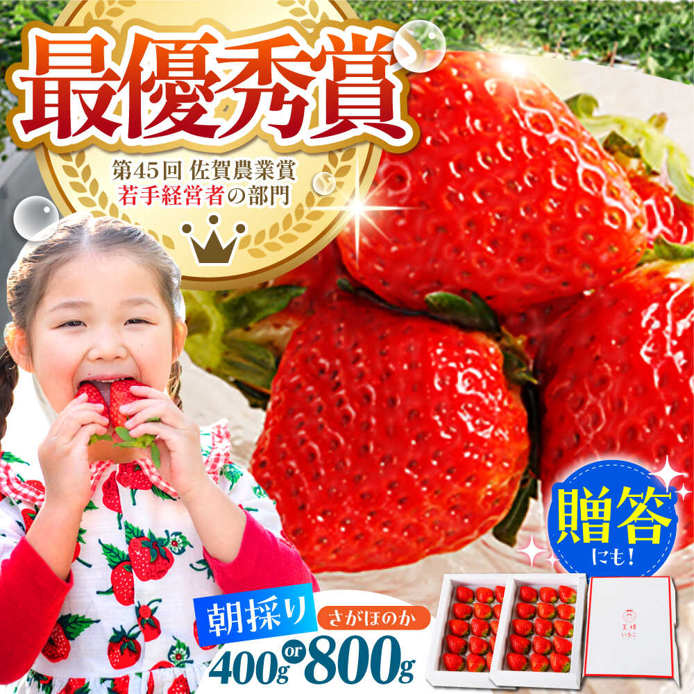 【1〜2月発送】王様のいちご さがほのか ( 400g / 800g ) いちご イチゴ 苺 贈答 ギフト プレゼント 先行予約 | 佐賀県 江北町 |【むらおか農園】 [HAF010]