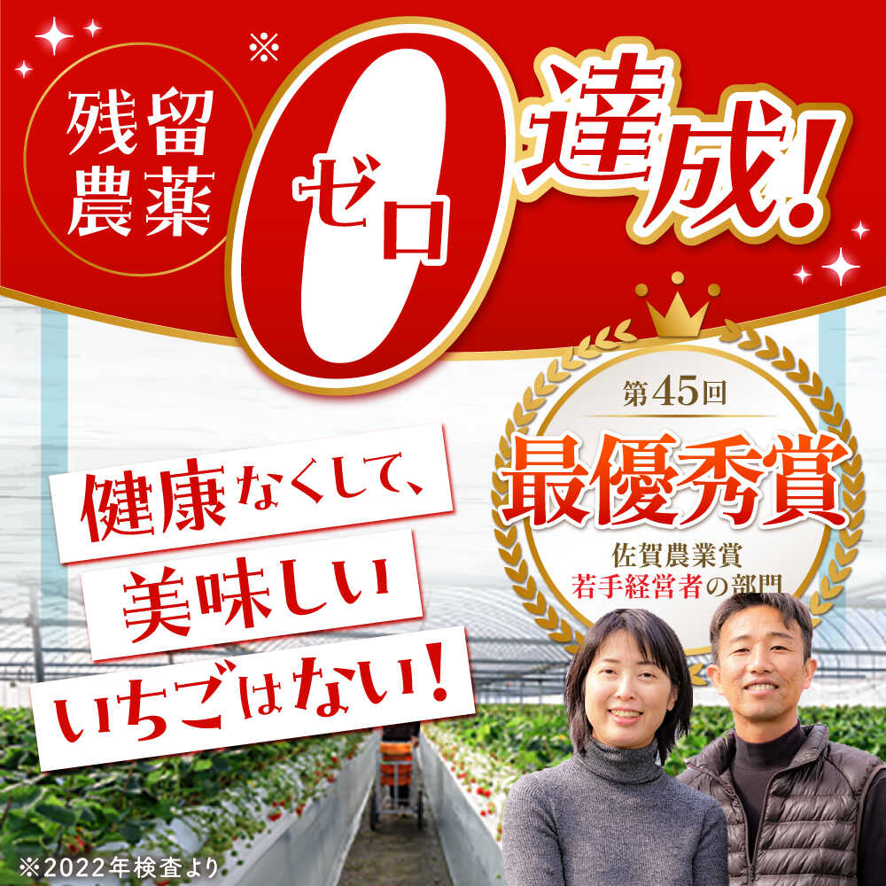 【ふるさと納税】【2〜4月発送】朝摘み いちご 500g ( さがほのか 250g 2パック ) いちご イチゴ 苺 | 佐賀県 江北町 | 【むらおか農園】 [HAF022] サムネイル2