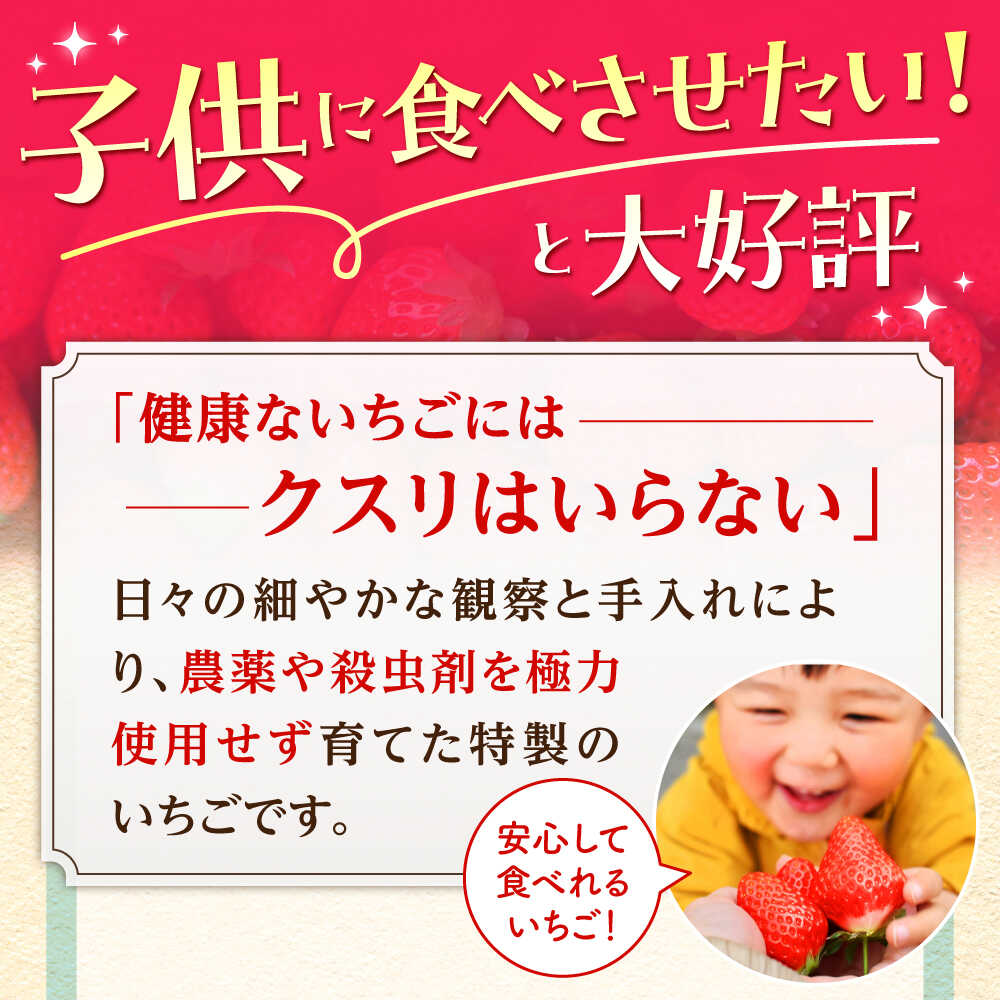 【ふるさと納税】【2〜4月発送】朝摘み いちご 500g ( さがほのか 250g 2パック ) いちご イチゴ 苺 | 佐賀県 江北町 | 【むらおか農園】 [HAF022] サムネイル3