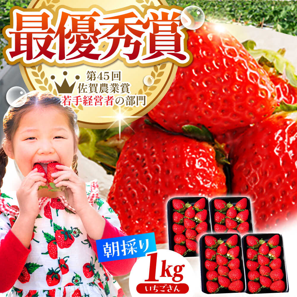 【2〜4月発送】朝摘み いちご いちごさん 1kg（250g×4パック） いちご イチゴ 苺 | 佐賀県 江北町 |【むらおか農園】[HAF023]