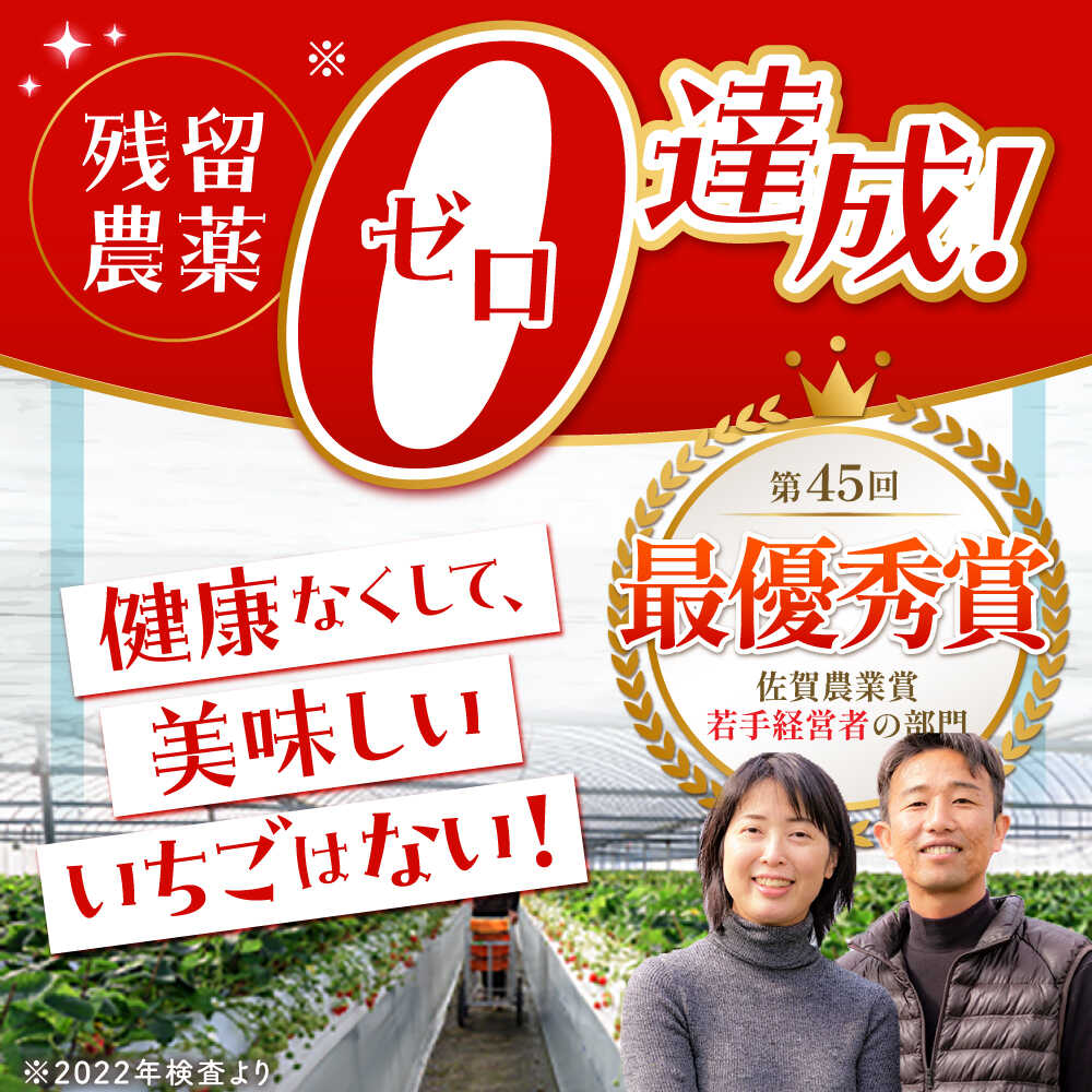 【ふるさと納税】【先行予約】【全2回定期便】いちご食べ比べ定期 総計1kg（さがほのか いちごさん） いちご イチゴ 苺 | 佐賀県 江北町 |【むらおか農園】[HAF026] サムネイル2