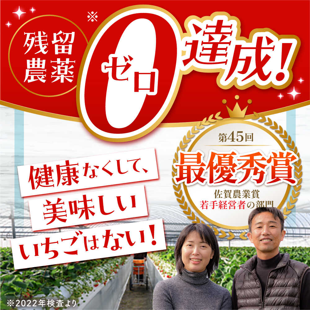 【ふるさと納税】【年末発送】王様のいちご いちごさん 800g（400g×2箱）【農薬0への挑戦】【むらおか農園】[HAF028] / いちご 苺 イチゴ 果物 くだもの フルーツ 食品 佐賀県 江北町 贈答用 ギフト プレゼント サムネイル2