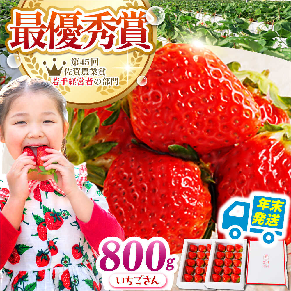 【年末発送】王様のいちご いちごさん 800g（400g×2箱）【農薬0への挑戦】【むらおか農園】[HAF028] / いちご 苺 イチゴ 果物 くだもの フルーツ 食品 佐賀県 江北町 贈答用 ギフト プレゼント