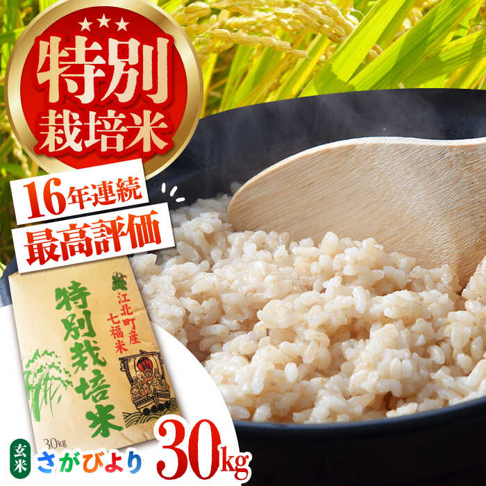 令和7年産 特別栽培米 さがびより 玄米 30kg 【だいちの家】 [HAG007]