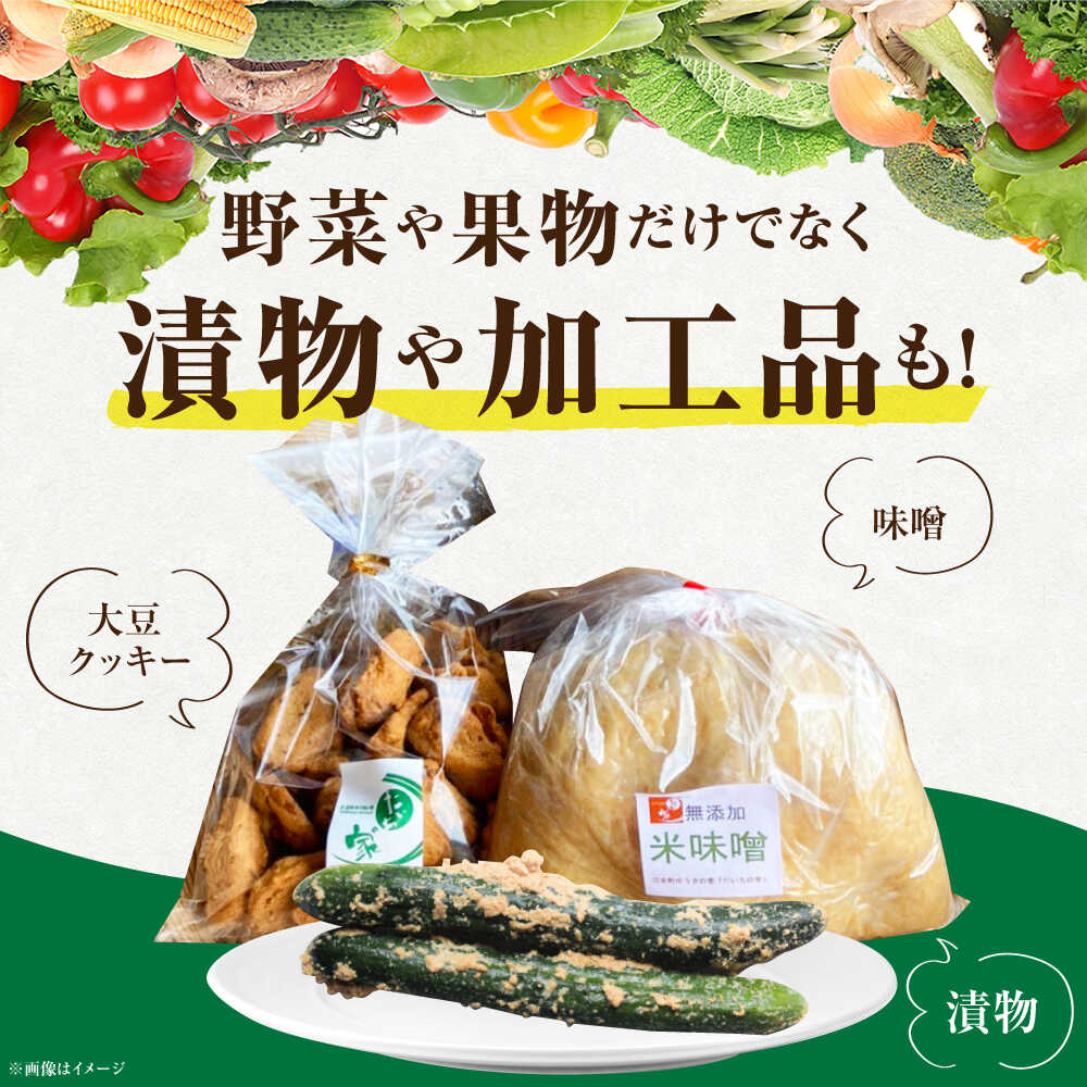 【ふるさと納税】 【隔月発送】【全3回定期便】新鮮野菜・加工品 おまかせ詰め合わせ 【だいちの家】 [HAG016] - 画像3