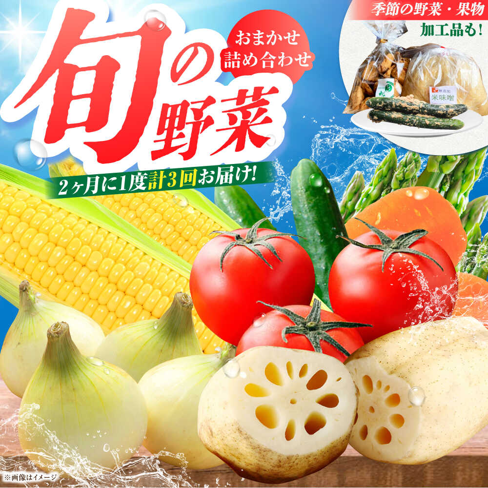 【隔月発送】【全3回定期便】新鮮野菜・加工品 おまかせ詰め合わせ 【だいちの家】 [HAG016]