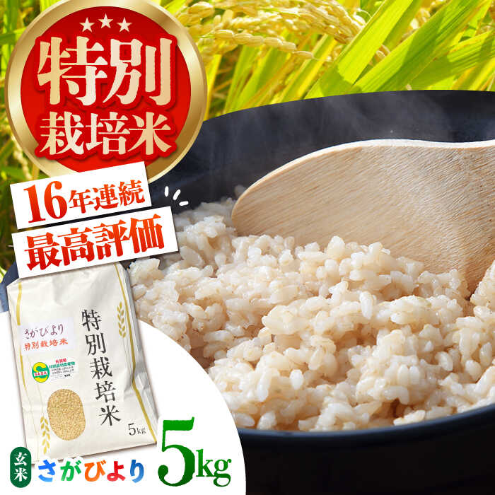 令和7年産 特別栽培米「さがびより」玄米 5kg 【だいちの家】特A米 特A評価[HAG027]